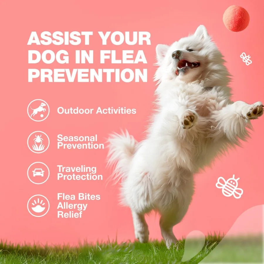 Dog Flea and Tick Treatment Chews FleaTick Prevention for Dogs Chewables Natural Dog Flea Tick Control Soft Treats Immune Suppo - The Paw Tech