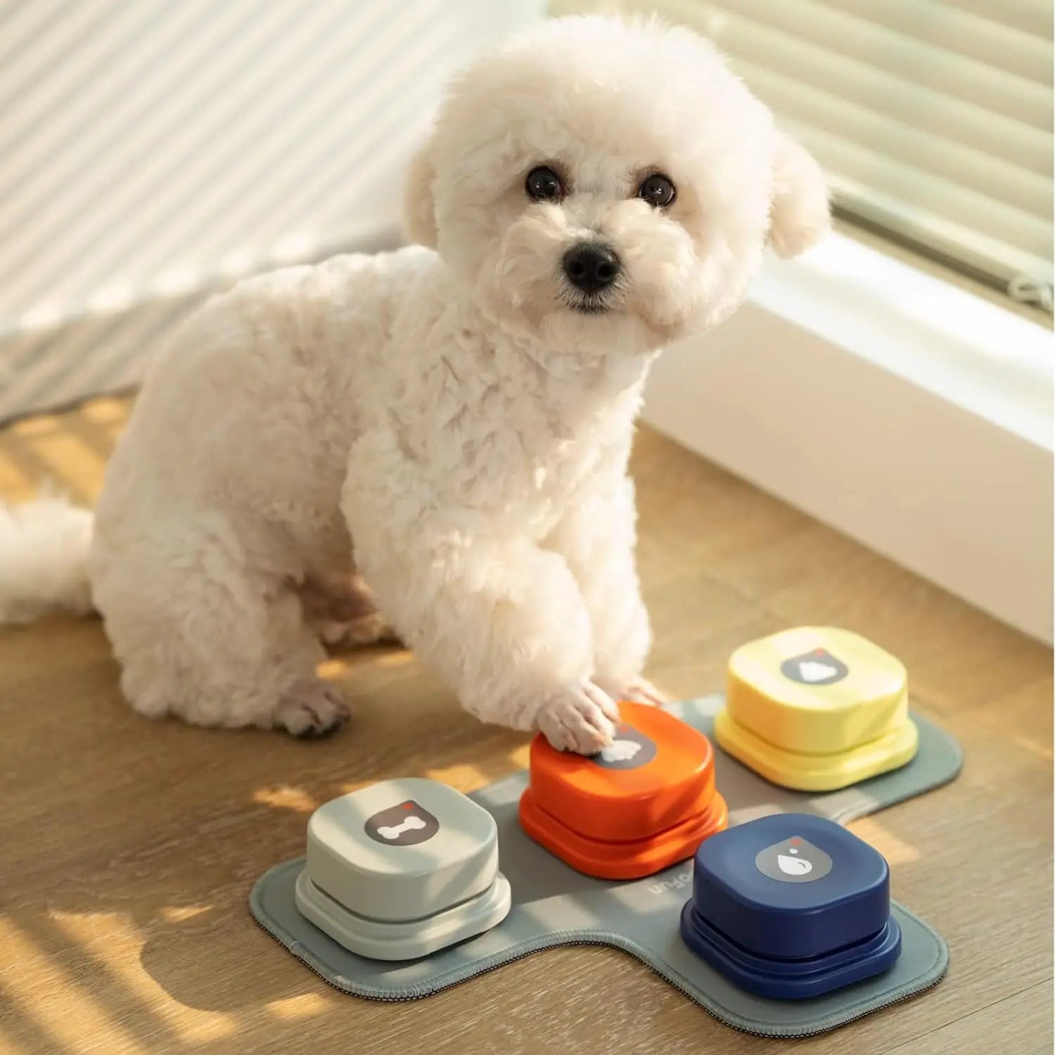 Mewoofun Dog Buttons with Rubber Mat Recordable Talking Buttons - The Paw Tech