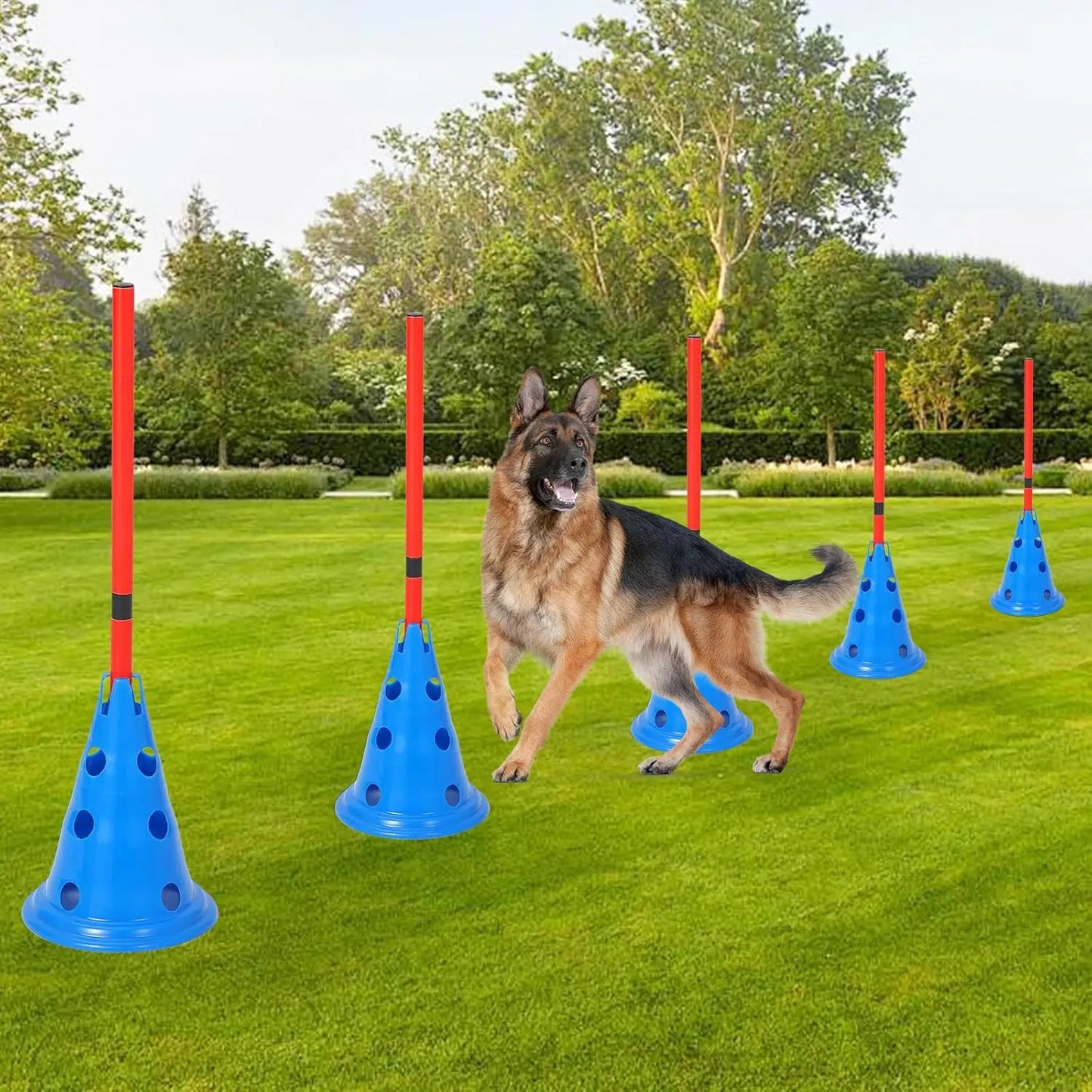 Dog Agility Hurdle Cone Set Dog Agility Course Backyard Set - The Paw Tech