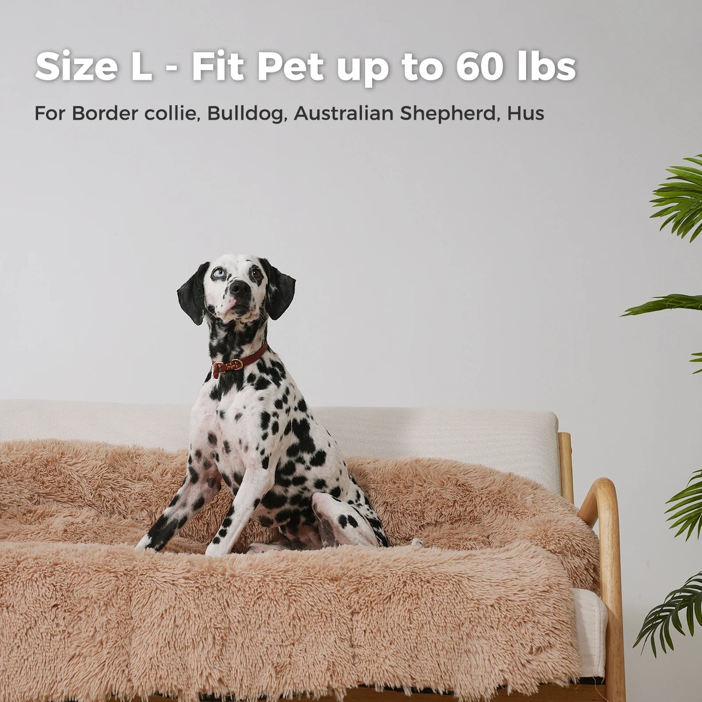 Fluffy Dog Bed Mat Portable Dog House Winter Warm Pet Blanket Washable Soft Coral Fleece Sleeping Pad for Dogs and Cats