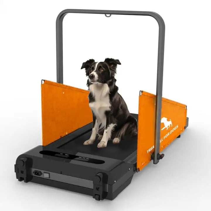 Dog Treadmill for Small Medium Dogs 2.5 Hp 220lbs Foldable - The Paw Tech