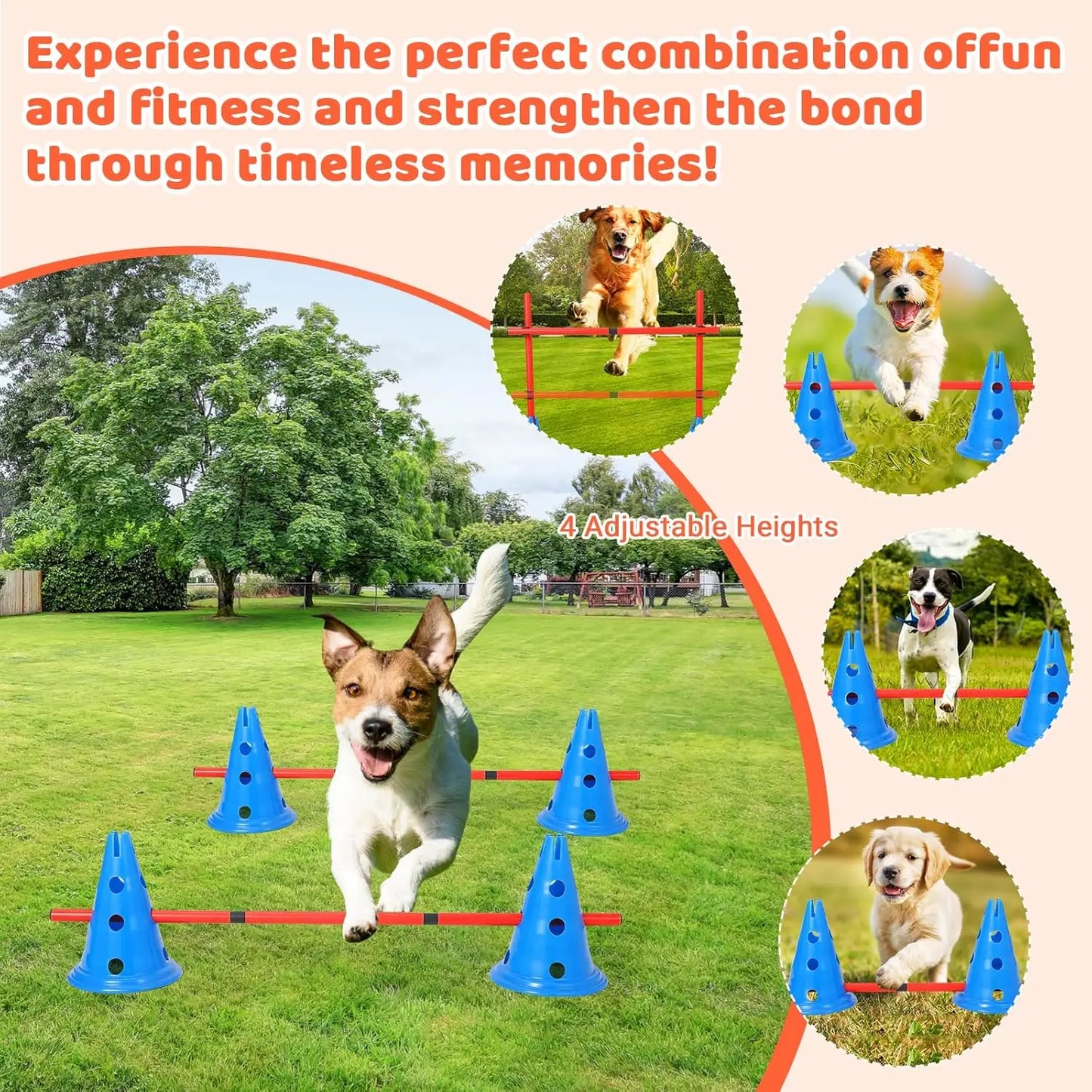 Dog Agility Hurdle Cone Set Dog Agility Course Backyard Set - The Paw Tech