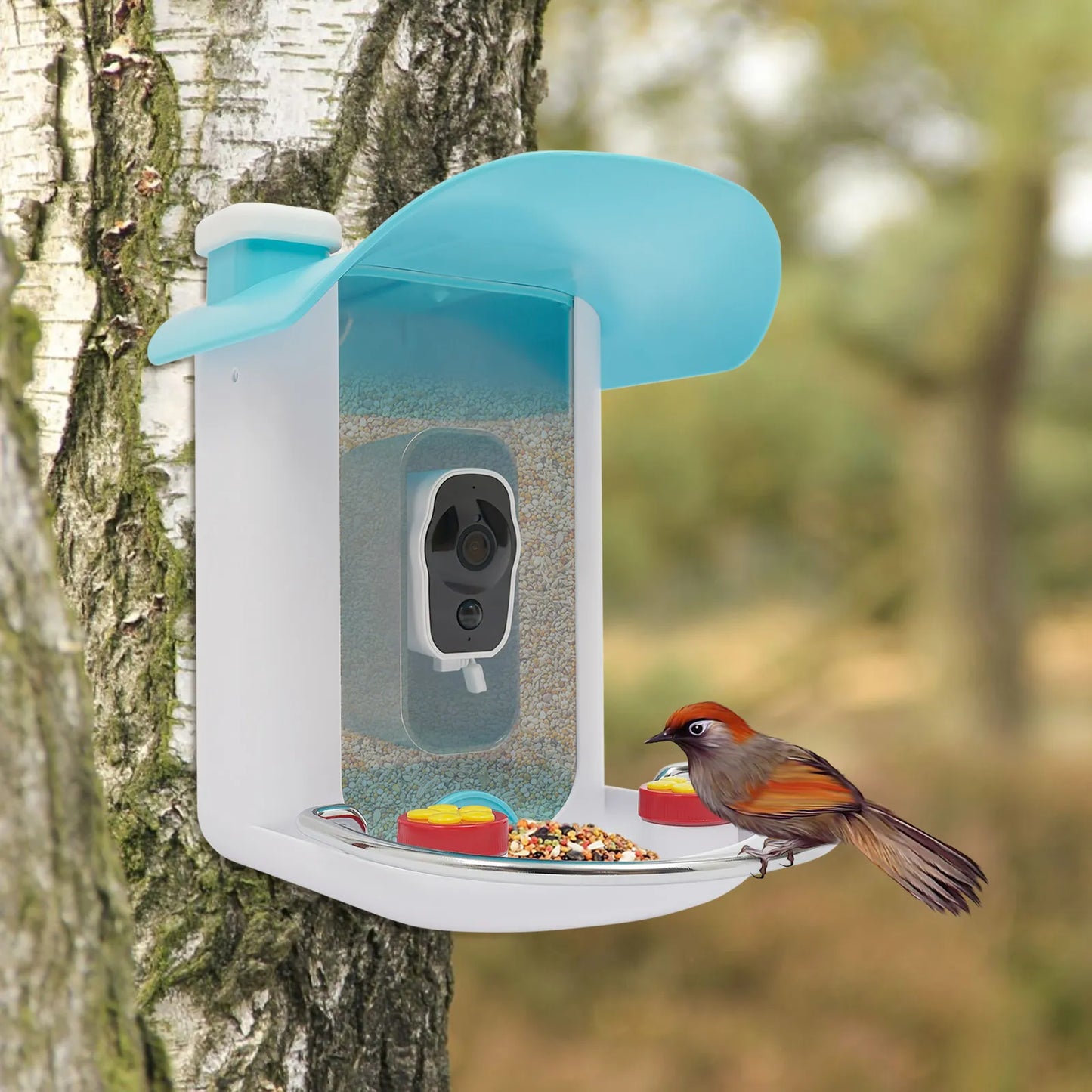 Outdoor Solar Smart Bird Feeder Camera 1080P 2MP 150° Wide Angle AI Recognition Birds Easy Installation for Wild Bird Watching