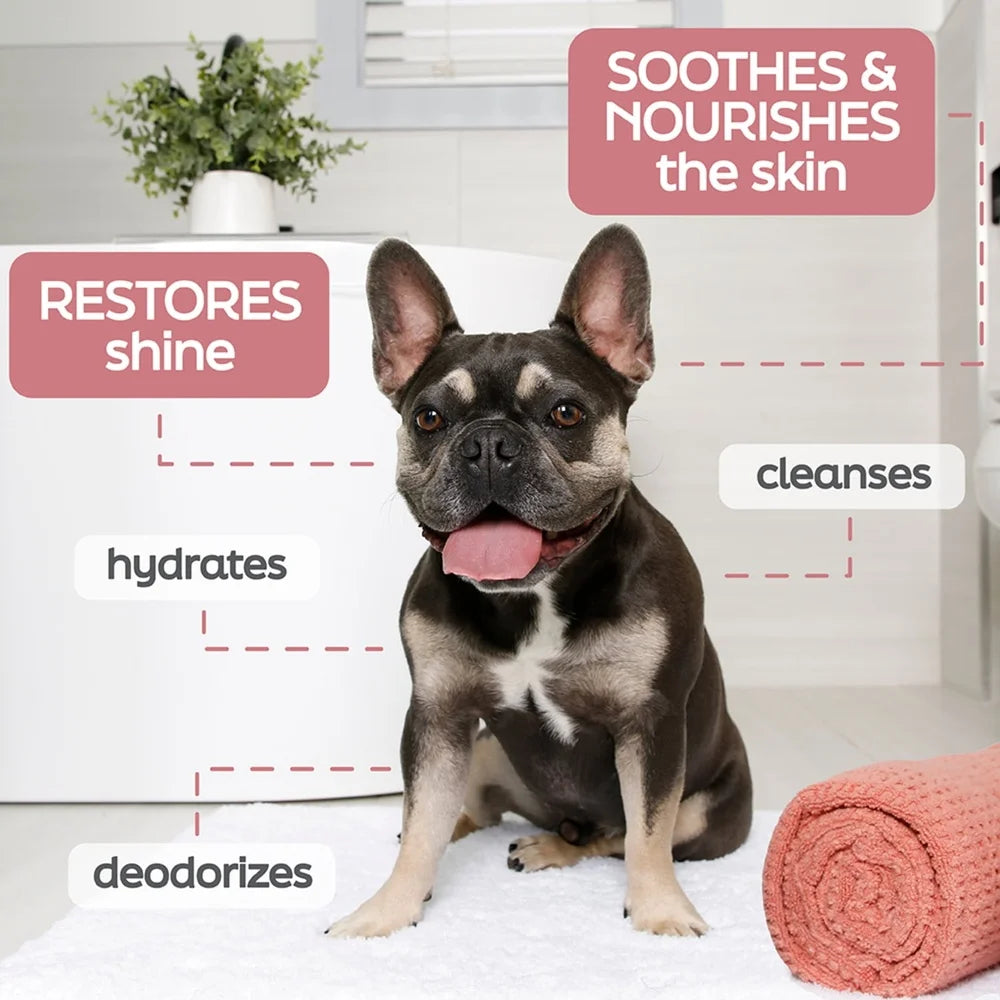 True Coat Dog Shampoo Short Smooth Coat Nourishing Oat Milk Coconut Oil Vitamin E Natural Ingredients Gentle Clean Hydrated Skin