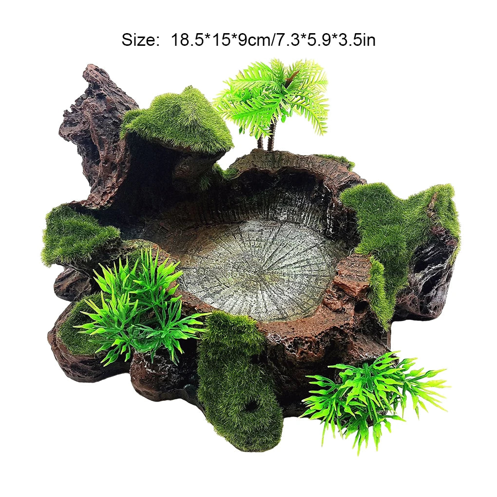 Sturdy And Reliable Reptile Feeder Bowl For Feeding Sessions Easy To Clean Reptile Food Water Dish - The Paw Tech