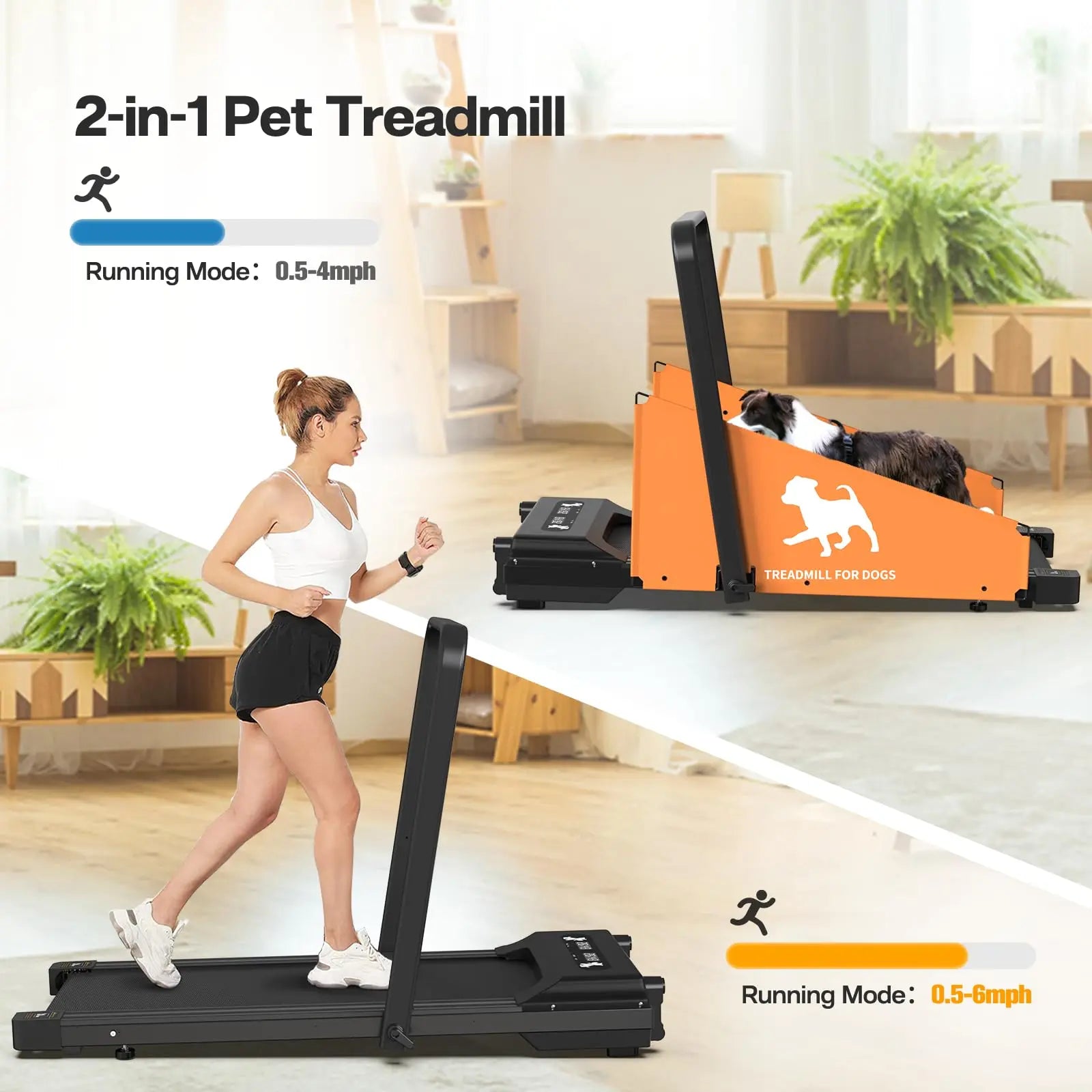 Dog Treadmill for Small Medium Dogs 2.5 Hp 220lbs Foldable - The Paw Tech