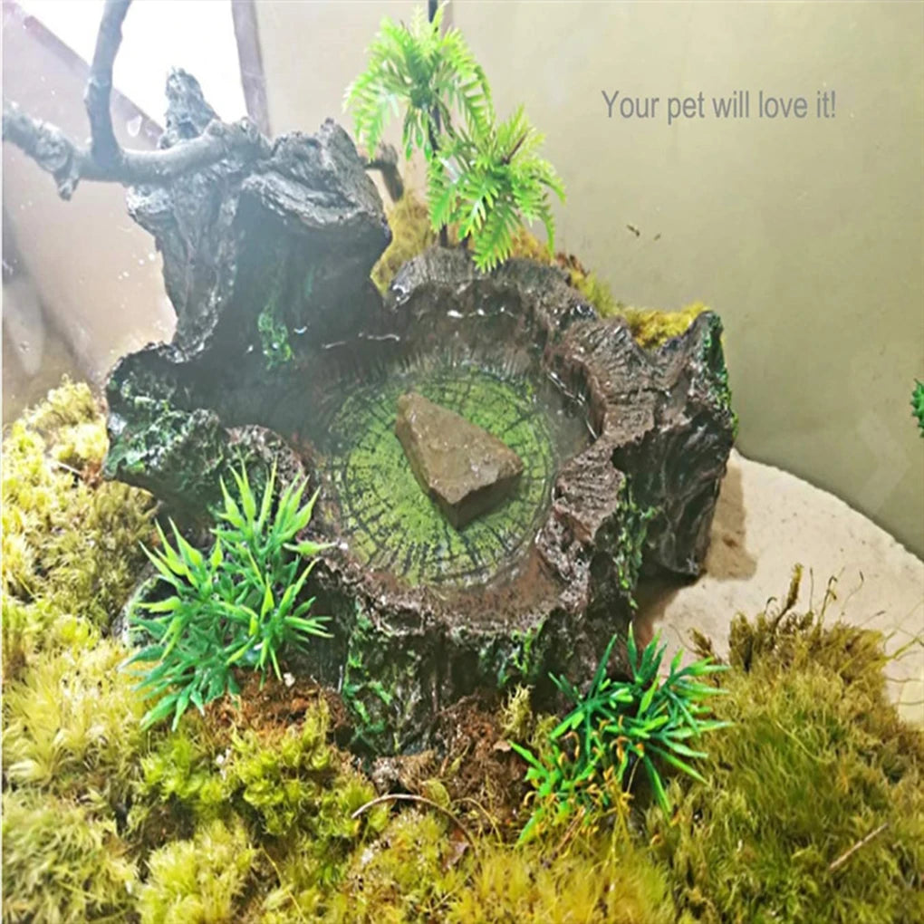 Sturdy And Reliable Reptile Feeder Bowl For Feeding Sessions Easy To Clean Reptile Food Water Dish - The Paw Tech