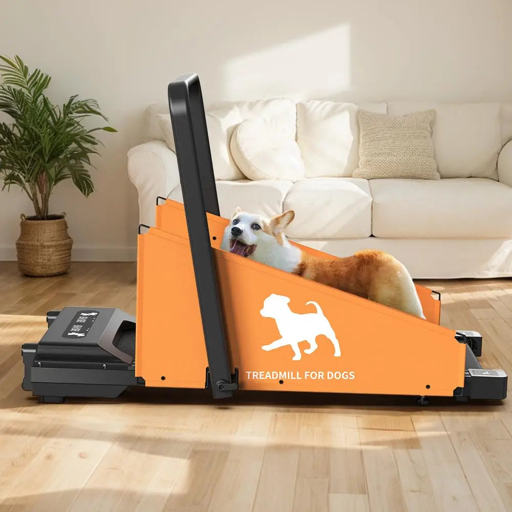 Dog Treadmill for Small Medium Dogs 2.5 Hp 220lbs Foldable - The Paw Tech