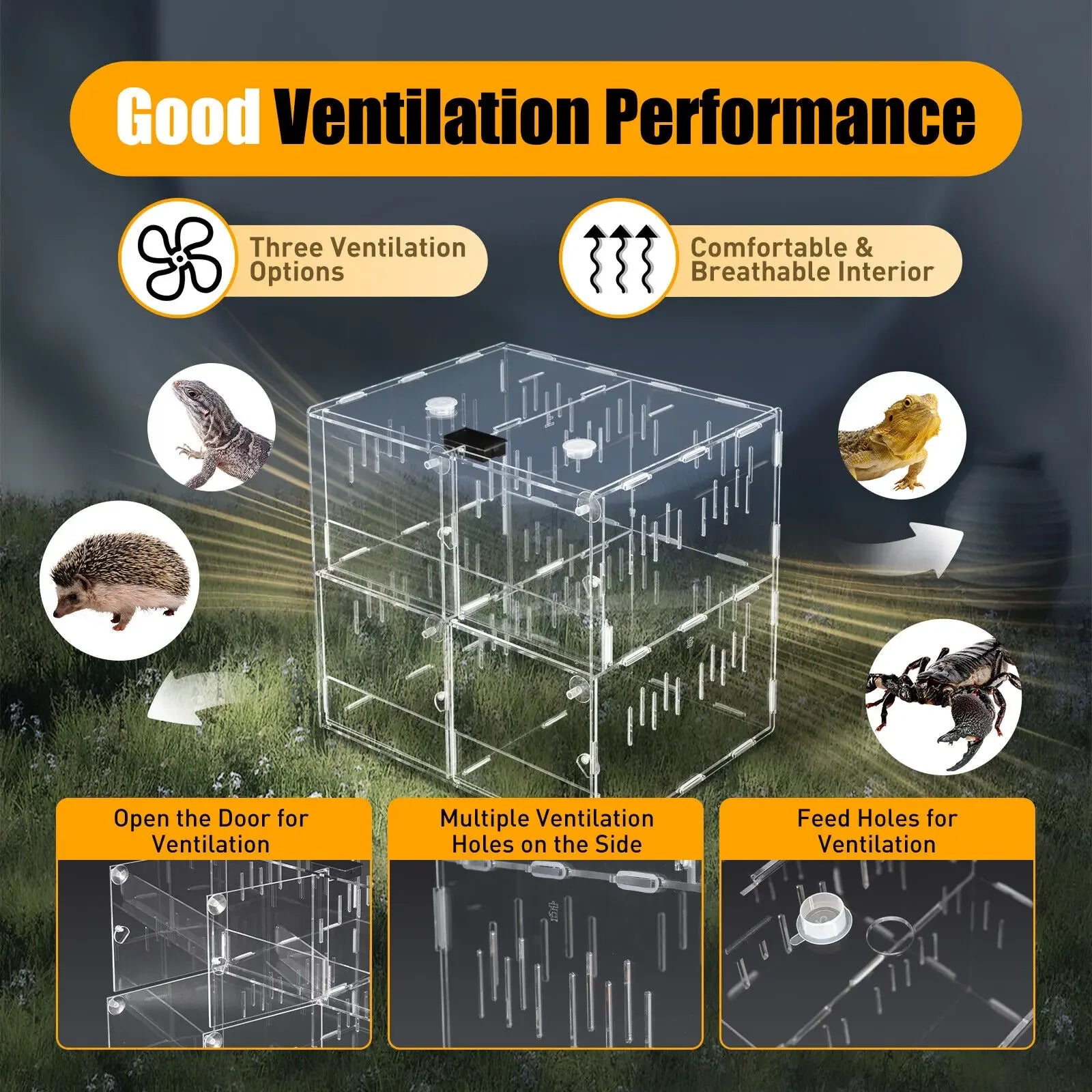 4 Grids Clear Acrylic Pet Reptile Cage Breeding Box Terrarium for Lizard Insect Climbing Spider and Snake Tank - The Paw Tech