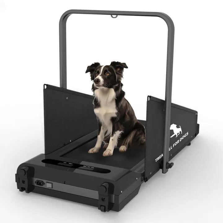 Dog Treadmill for Small Medium Dogs 2.5 Hp 220lbs Foldable - The Paw Tech