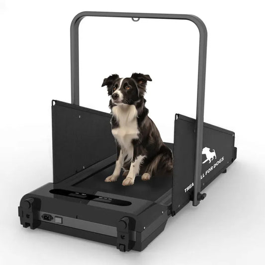 Dog Treadmill for Small Medium Dogs 2.5 Hp 220lbs Foldable - The Paw Tech