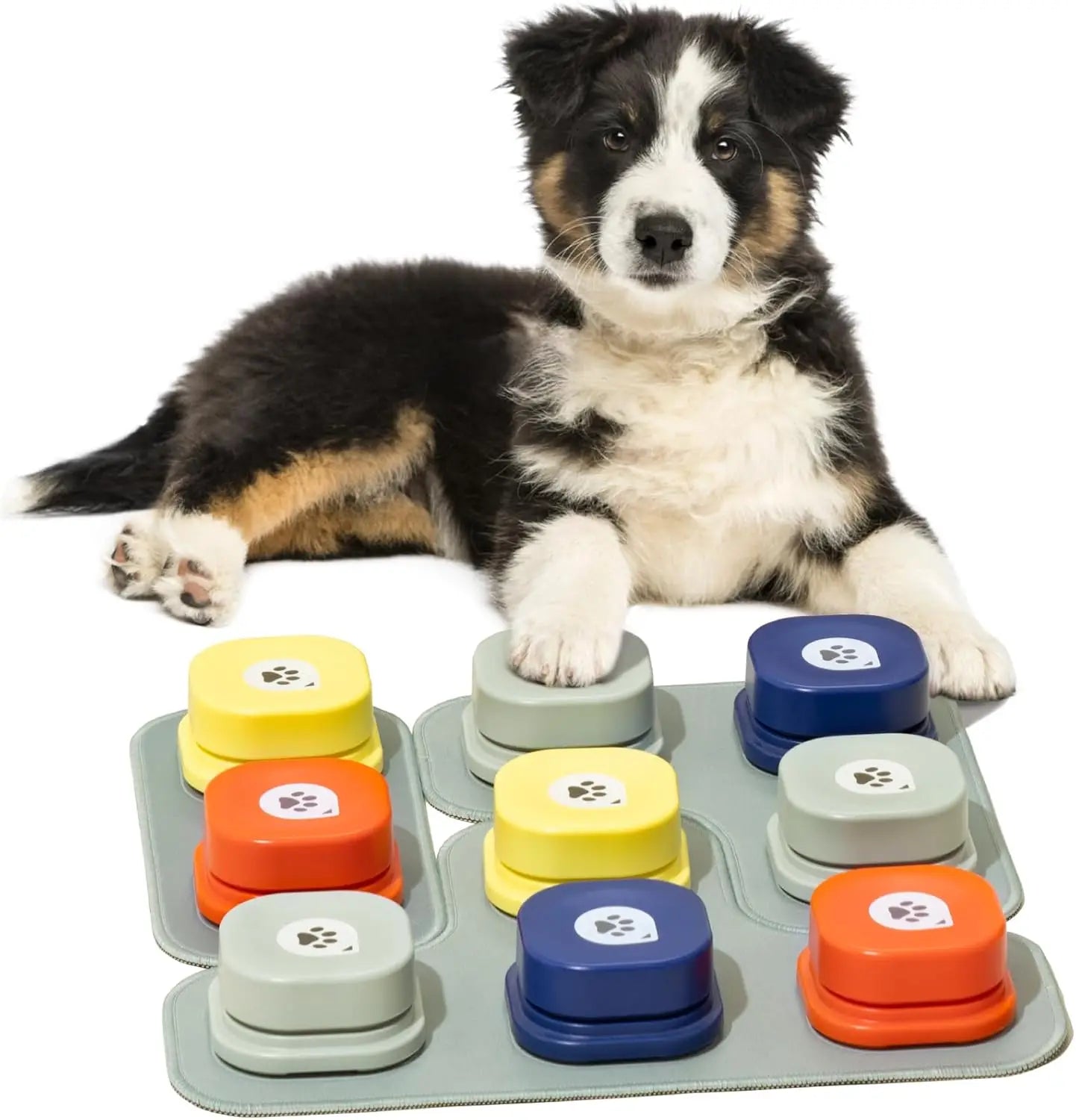 Mewoofun Dog Buttons with Rubber Mat Recordable Talking Buttons - The Paw Tech