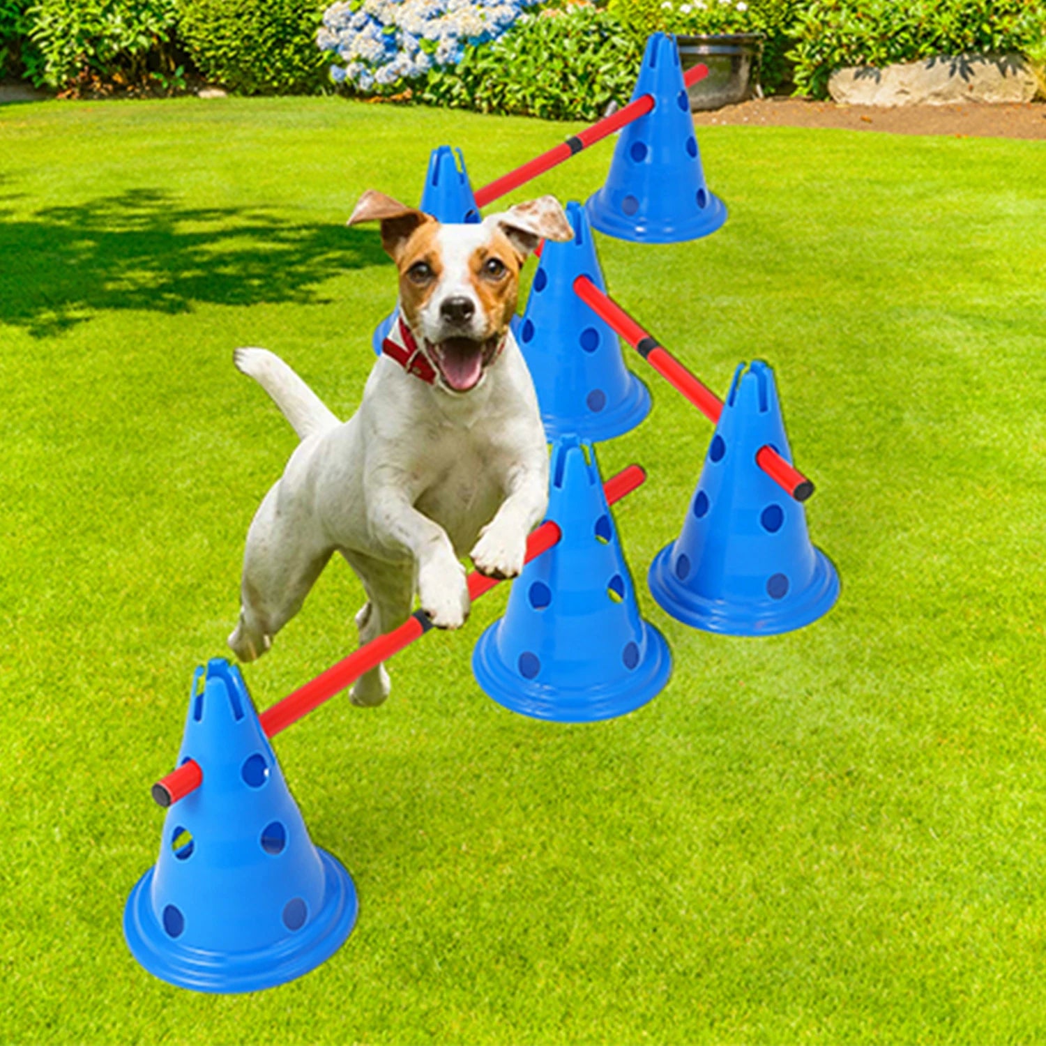 Dog Agility Hurdle Cone Set Dog Agility Course Backyard Set - The Paw Tech