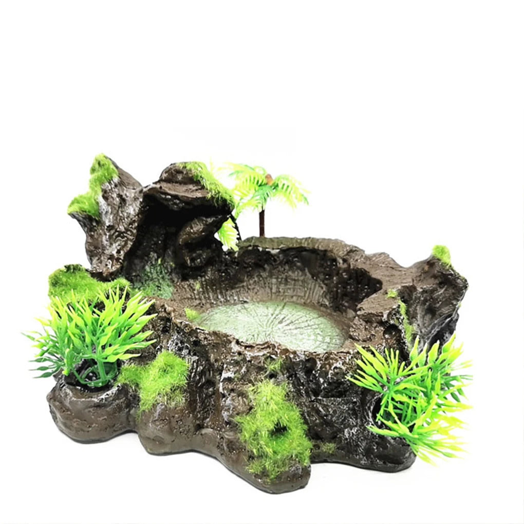 Sturdy And Reliable Reptile Feeder Bowl For Feeding Sessions Easy To Clean Reptile Food Water Dish - The Paw Tech