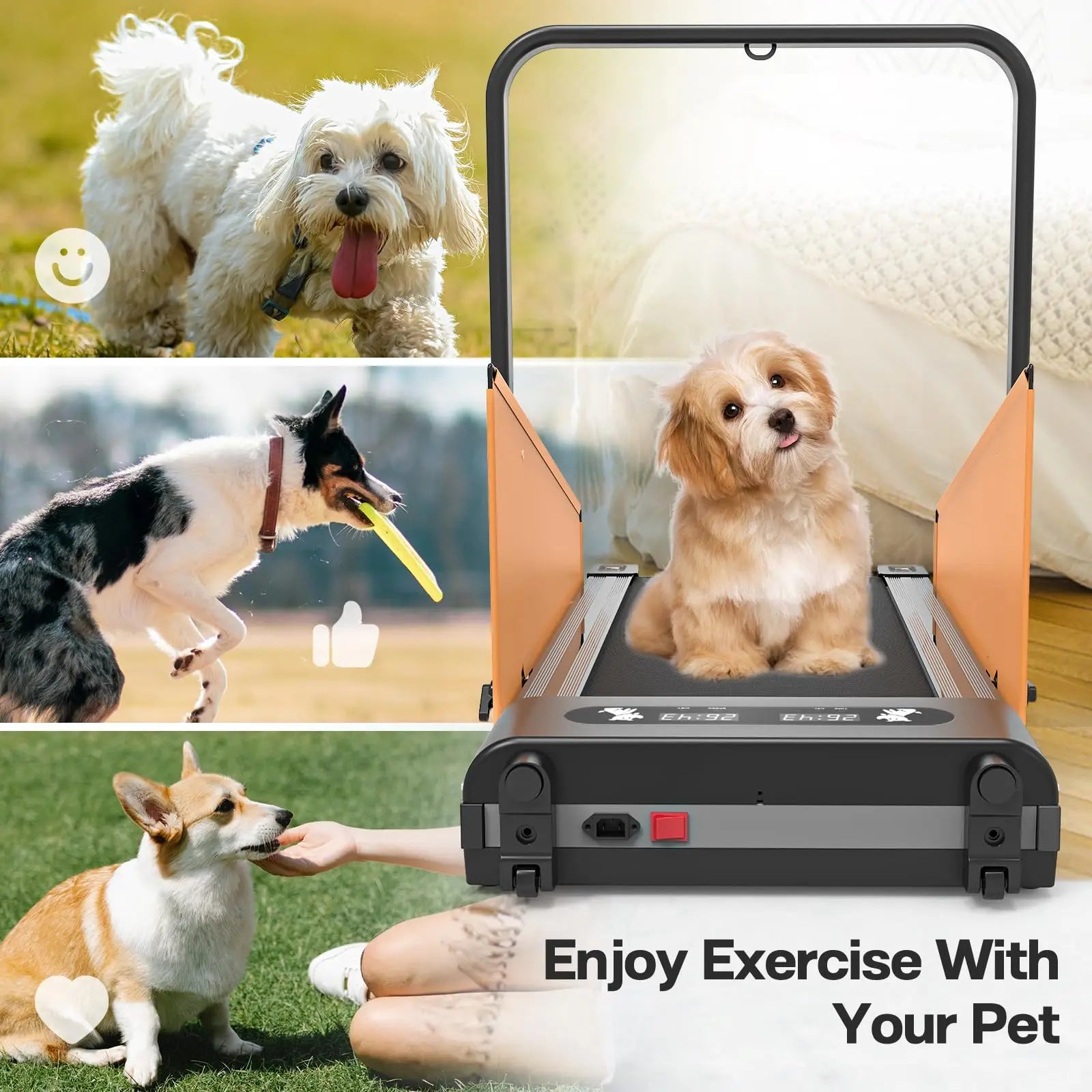 Dog Treadmill for Small Medium Dogs 2.5 Hp 220lbs Foldable - The Paw Tech
