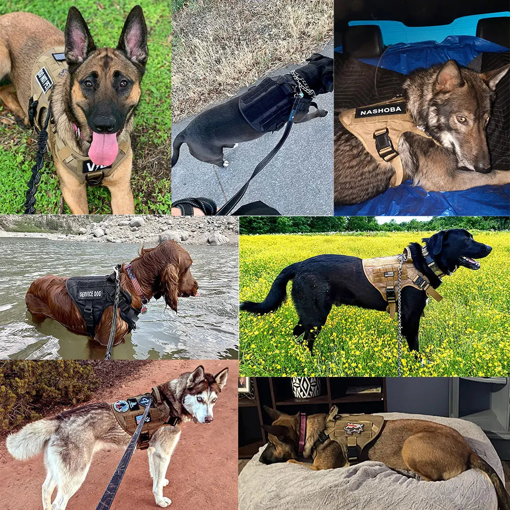 Military Large Dog Harness Set for Tactical Training Accessories - The Paw Tech