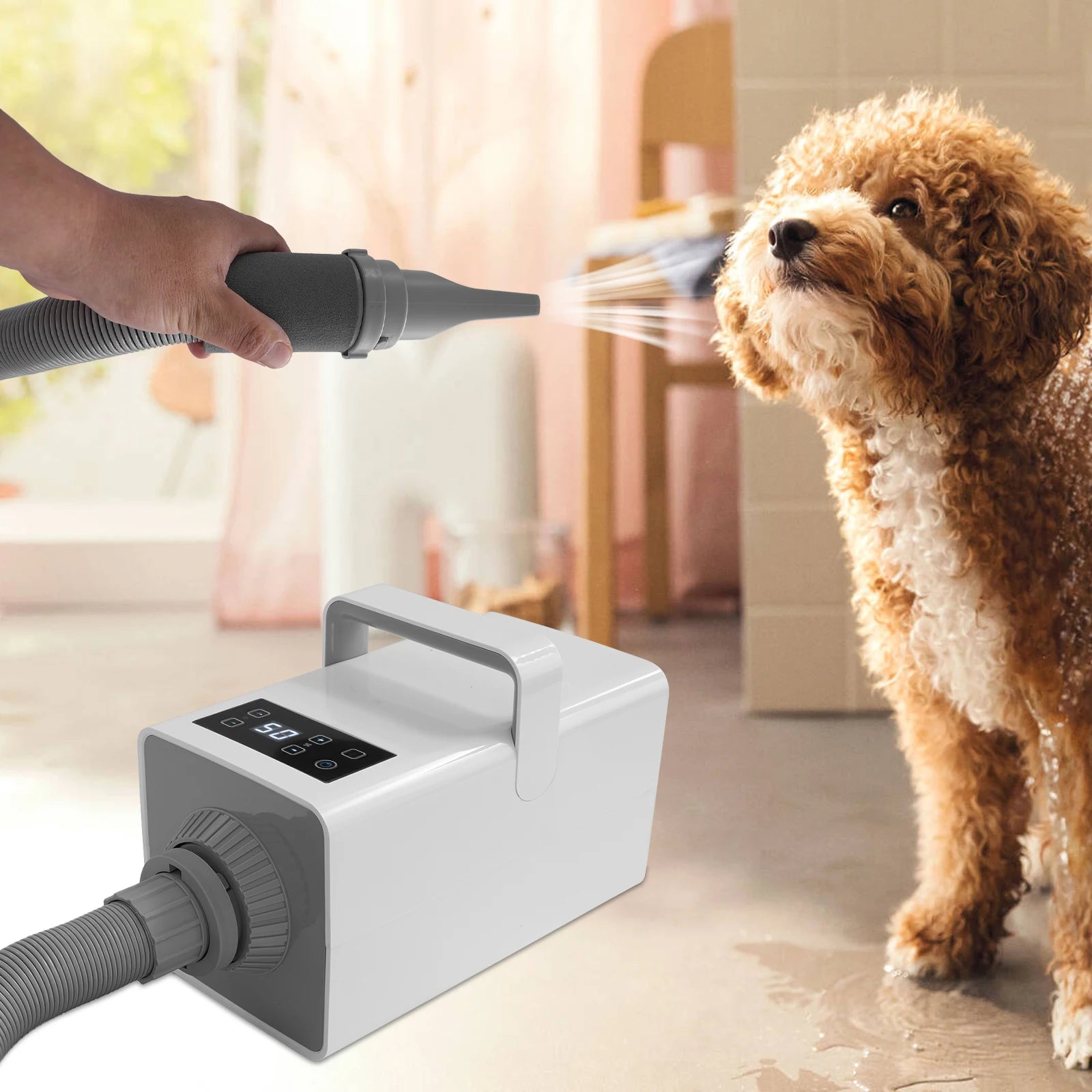 110V Puppy Blowing Grooming Dryer Pet Hair Drying Cats Dogs Fur Grooming Blow Dryer Adjustable LCD 2200W - The Paw Tech
