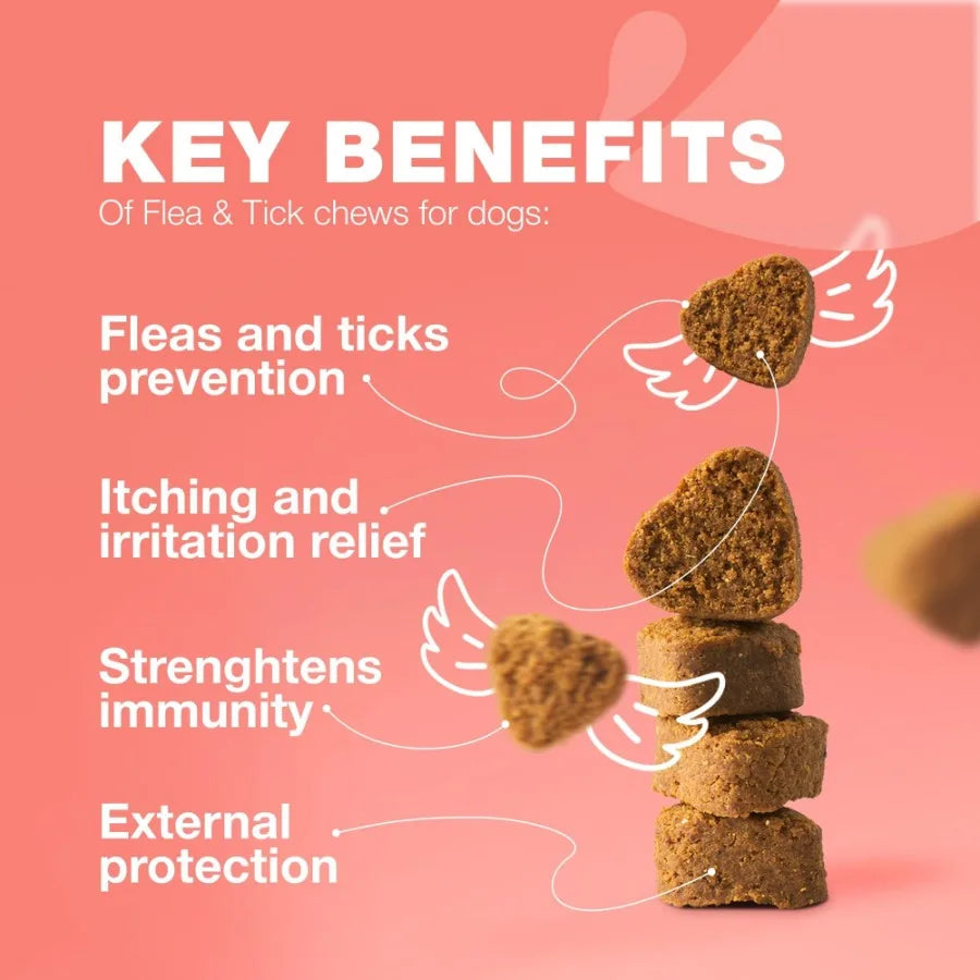 Dog Flea and Tick Treatment Chews FleaTick Prevention for Dogs Chewables Natural Dog Flea Tick Control Soft Treats Immune Suppo - The Paw Tech