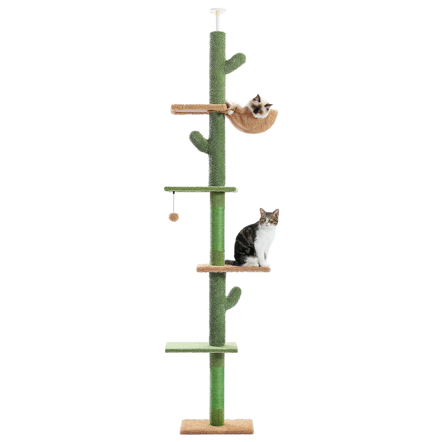 Cat Tree 5 Tier Floor to Ceiling Cat Tower Cactus Tall Climbing Tree with Scratching Post Hammock and Dangling Ball for Indoor Cats - The Paw Tech