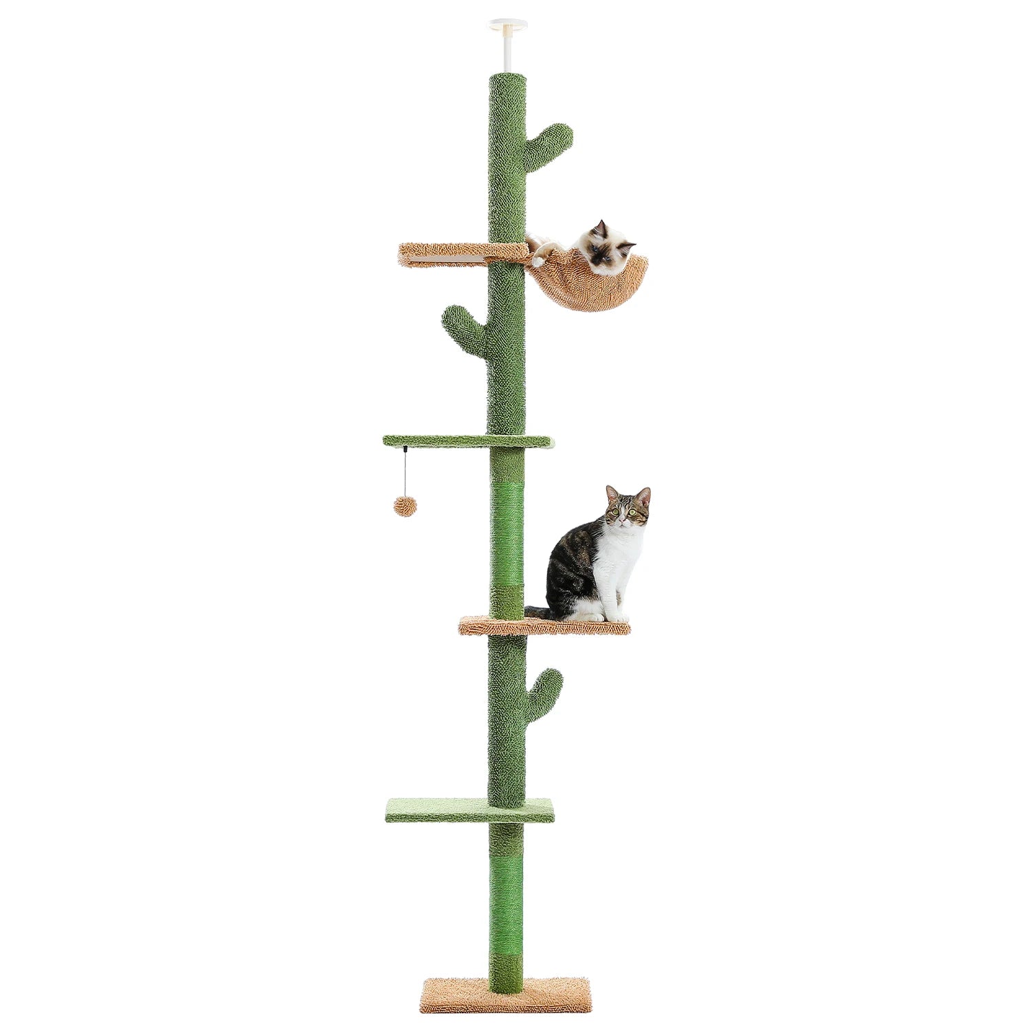 Cat Tree 5 Tier Floor to Ceiling Cat Tower Cactus Tall Climbing Tree with Scratching Post Hammock and Dangling Ball for Indoor Cats - The Paw Tech